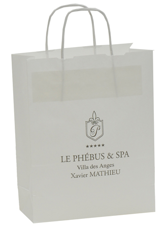 Sales of Sac en papier SPA - Institut